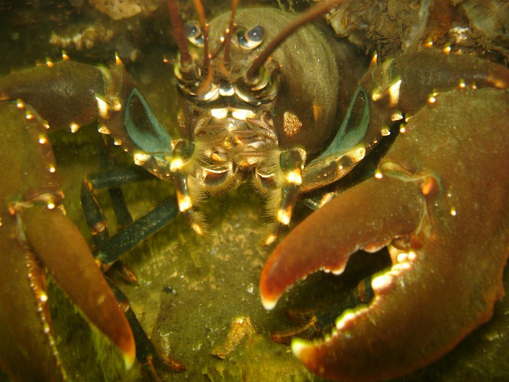 2008-06-28 12-17-08 H.JPG